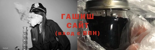 индика Аркадак