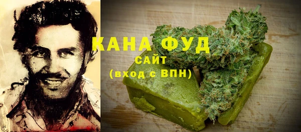 индика Аркадак