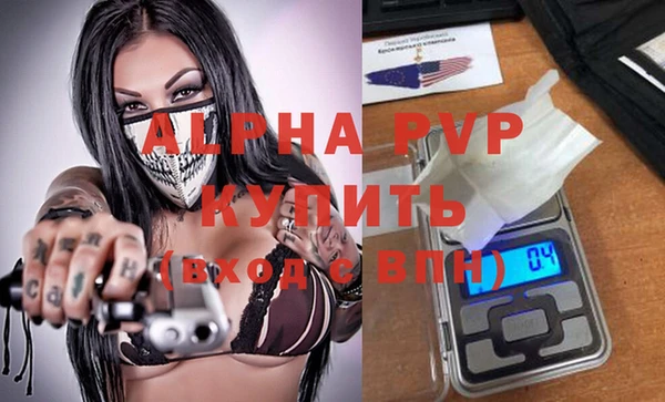 индика Аркадак