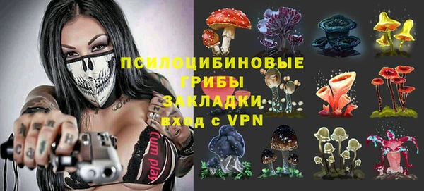 МДПВ Сафоново