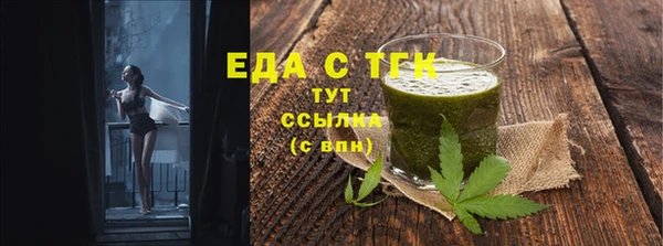 индика Аркадак