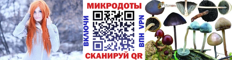 Галлюциногенные грибы Psilocybine cubensis  кракен ТОР  Сенгилей  где купить наркоту 